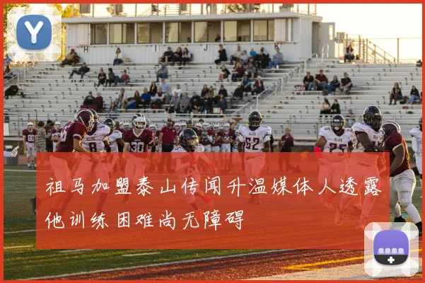 祖马加盟泰山传闻升温媒体人透露他训练困难尚无障碍